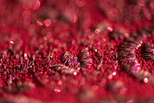 Red Background Closeup Macro Of Fabric And Shiny Thread