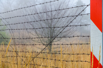 Wall Mural - Barbed wire fence at the Chernobyl exclusion zone, Ukraine