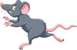 Cute little mouse cartoon running