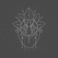 Wall Mural - Vector illustration with hand drawn Wasp and Sacred geometric symbol on black background. Abstract mystic sign. White linear shape. 