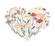 Watercolor floral heart of wildflowers and meadow plants, isolated illustration on a white background