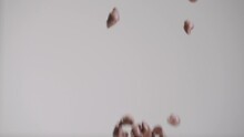 Milk Chocolate Chips Raining Down In Slow Motion 4k With Gray Backdrop