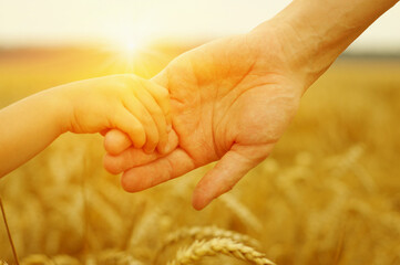 Wall Mural - Hands of father and daughter on sun