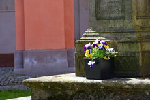 A Close Up On A Small Black Flower Pot With Colorful Plants And Flowers Growing From It Located At The Bottom Of An Old, Abandoned Monument From The Medieval Era Seen On A Sunny Summer Day