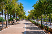 Empty Diminishing Road Amidst Row Of Trees Against Blue Sky During Summer