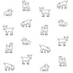 Wall Mural - Baby goat - seamless trendy pattern with animal in various poses. Contour vector illustration for prints, clothing, packaging and postcards.