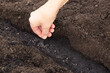 Close up of a woman's hand sowing seeds