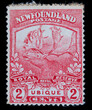 briefmarke stamp vintage retro alt old red rot neufundland newfoundland elch elk ubique 2 cents red rot papier paper animal tier deer post letter mail