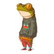 An Urban Guy, isolated vector illustration. Calm anthropomorphic teenage frog wearing a cool street style outfit. Young trendy dressed humanized toad. An animal character with a human body.