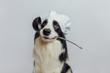 Funny puppy dog border collie in chef cooking hat holding kitchen spoon ladle in mouth isolated on white background. Chef dog cooking dinner. Homemade food restaurant menu concept. Cooking process