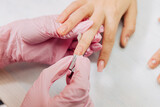 Fototapeta Zwierzęta - Manicure process. The master forms an artificial nail from a special gel using a bamboo stick.