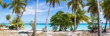 Tropical Beach Panorama With Palm Trees