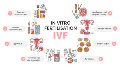 in vitro fertilization ivf vector circle infographic, infertility treatment scheme. ovarian hypersti