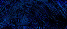 Blue Wires, Close-up, Background