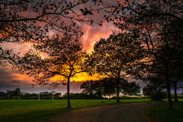 Wall Mural - Blazing sunset behind the trees at the soccer field in New Haven, Connecticut. Dramatic evening cloudscape in New England, USA.