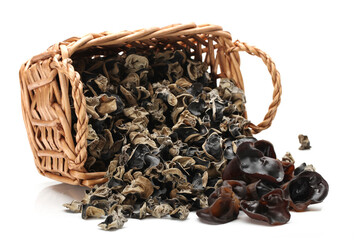 Wall Mural - black fungus on white background 