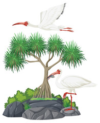 Wall Mural - American white ibis group