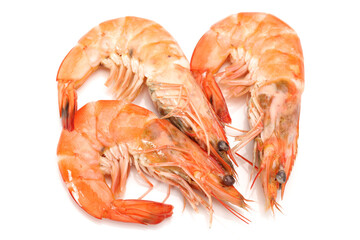 Canvas Print - shrimps on a white background