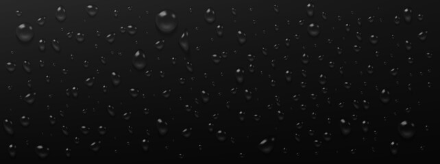 Wall Mural - Condensation water drops on black background. Rain droplets with light reflection on dark surface, abstract wet texture, scattered pure aqua blobs pattern Realistic 3d vector illustration