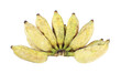 Bunch of ripe, yellow, fresh, and sweet cultivated banana or numwa in thai  isolated on white background. Close up Musa sapientum linn - Healthy fruit on white.