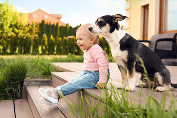 Wall Mural - Adorable baby and furry little dog on wooden porch outdoors