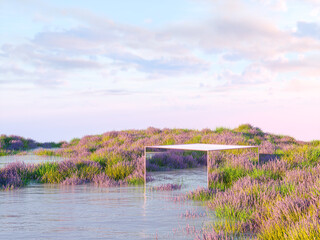 Poster - Natural beauty podium backdrop with lavender field. 3d rendering. 