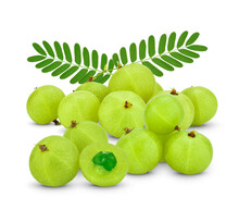 Amla Green Fruits ,Phyllanthus Emblica Isolated On White Background. This Has Clipping Path.