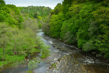 Wall Mural - The River Allen near Whitfield in Northumberland, UK