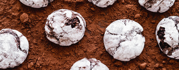 Wall Mural - Top view of cookies with powdered sugar on cocoa powder, banner.