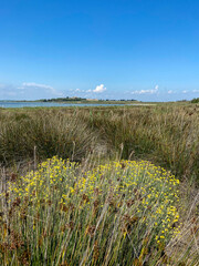 Wall Mural - Etang de Pierre Blanche et île de Maguelone, Occitanie