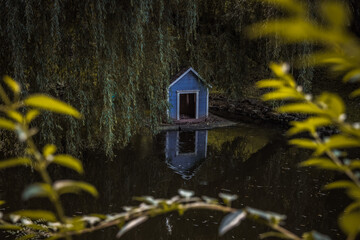 autumn moody atmospheric local landscape view of lake shore line ni the wood land with wooden house cabin for birds and dark green brown foliage, unfocused foreground branches