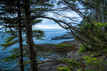 Beautiful View Of Seascape With Trees In The Foreground In West Coast Of Vancouver Island, BC Canada