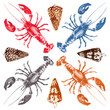 Watercolor set of colored lobsters and seashells painted illustration
