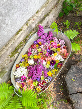 Rustik Tin Tub With Many Colored Flowers. Garden Ideas