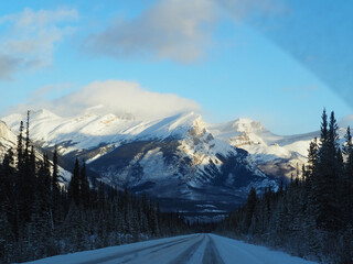 Sticker - Beautiful shot of icy road in between pine trees with snowy mountains in the distance