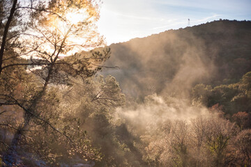 Wall Mural - Beautiful scene of a tree with smoke sunset lights and green mountains in the background