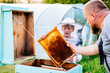 Father beekeeper passes his experience son. Family small business. Bees, honey, hive, children. Beekeeping concept