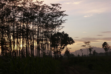 Wall Mural - Beautiful shot of the sunrise in the mountains