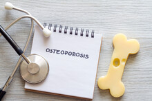 Bone Shaped Cheese, Notebook And Stethoscope, Concept Osteoporosis