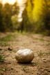 Stone on the path