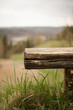 wooden bench in the field