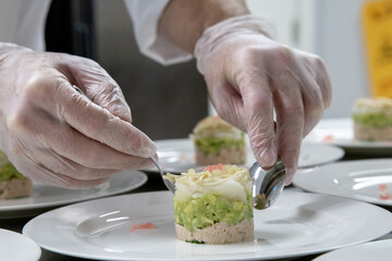 Sticker - chef plating food only hand showing in low light with grain and out of focus