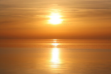 Sunset over calm sea, flying birds, bright sun light, orange color, Harlingen, Netherlands