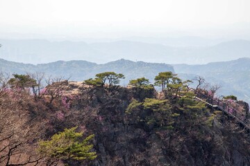 Canvas Print - 관악산