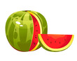Watermelon vector illustration on a white background. Fruits, berries.
