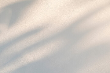 Light and shadow of leaf abstract background. Natural shadows and sunshine diagonal refraction on white concrete wall texture. Shadow overlay effect for foliage mockup, banner graphic layout