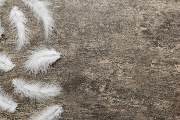 background of brightly colored dyed bird feathers on Colored background, top view. Copy space