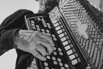 Monochrome portrait of seniot man, retro musician playing the accordion isolated on white background. Concept of art, music, style, older generation, vintage