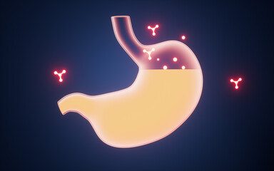 Wall Mural - Glowing molecules and stomach, 3d rendering.