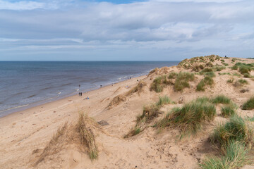 Sticker - Formby beach and sand dunes north west England UK coast near Liverpool